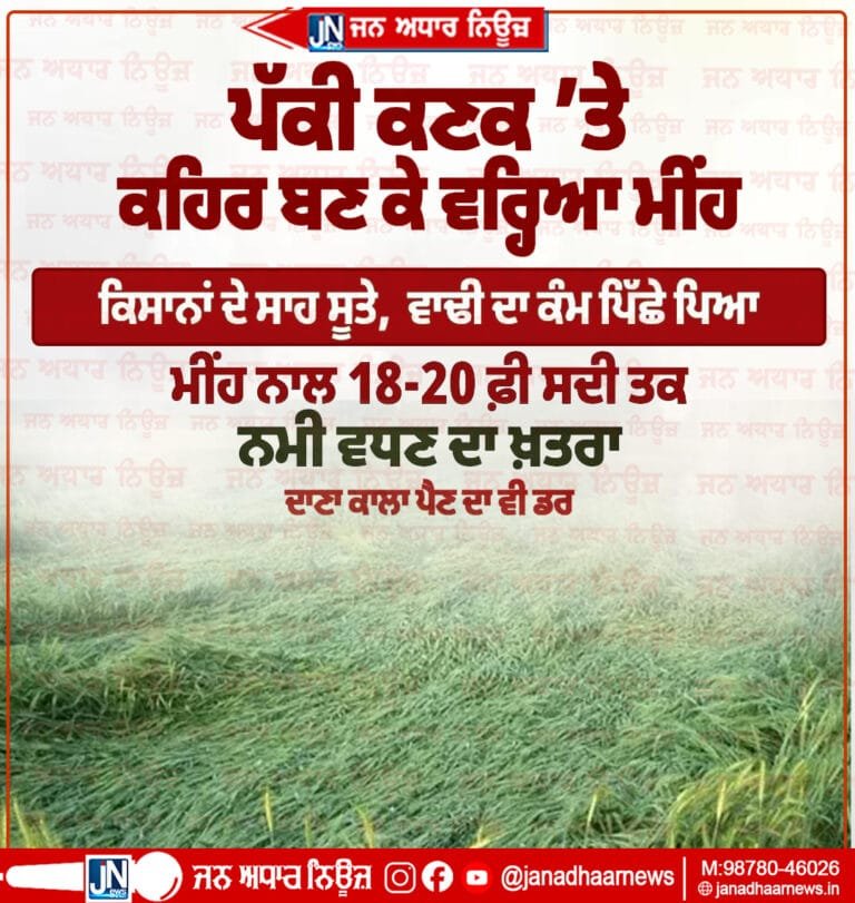 ਪੱਕੀ ਕਣਕ ’ਤੇ ਕਹਿਰ ਬਣ ਕੇ ਵਰ੍ਹਿਆ ਮੀਂਹ